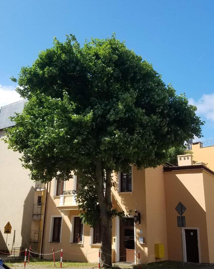 קולובז'ג Apartamenty Na Cichej 5 A3 מראה חיצוני תמונה